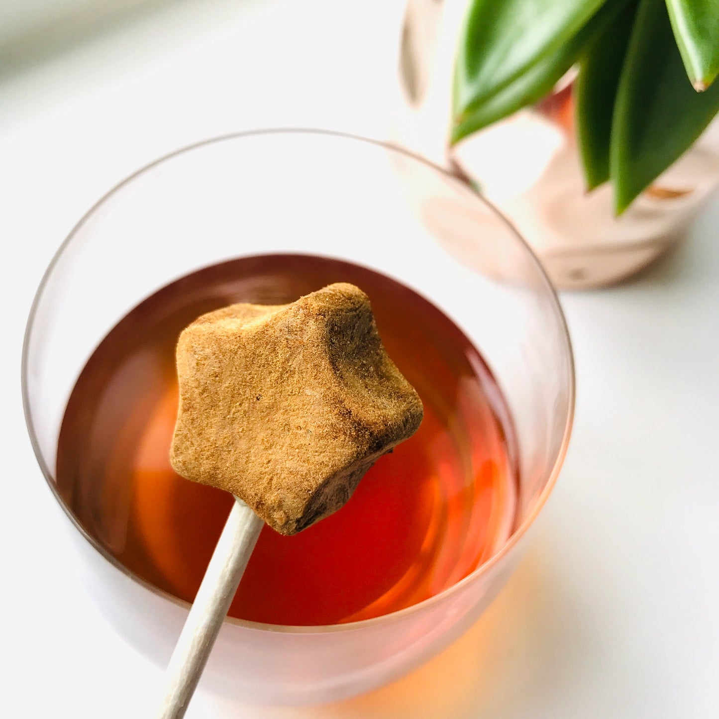 TEA POP Passion Fruit Punch Tea